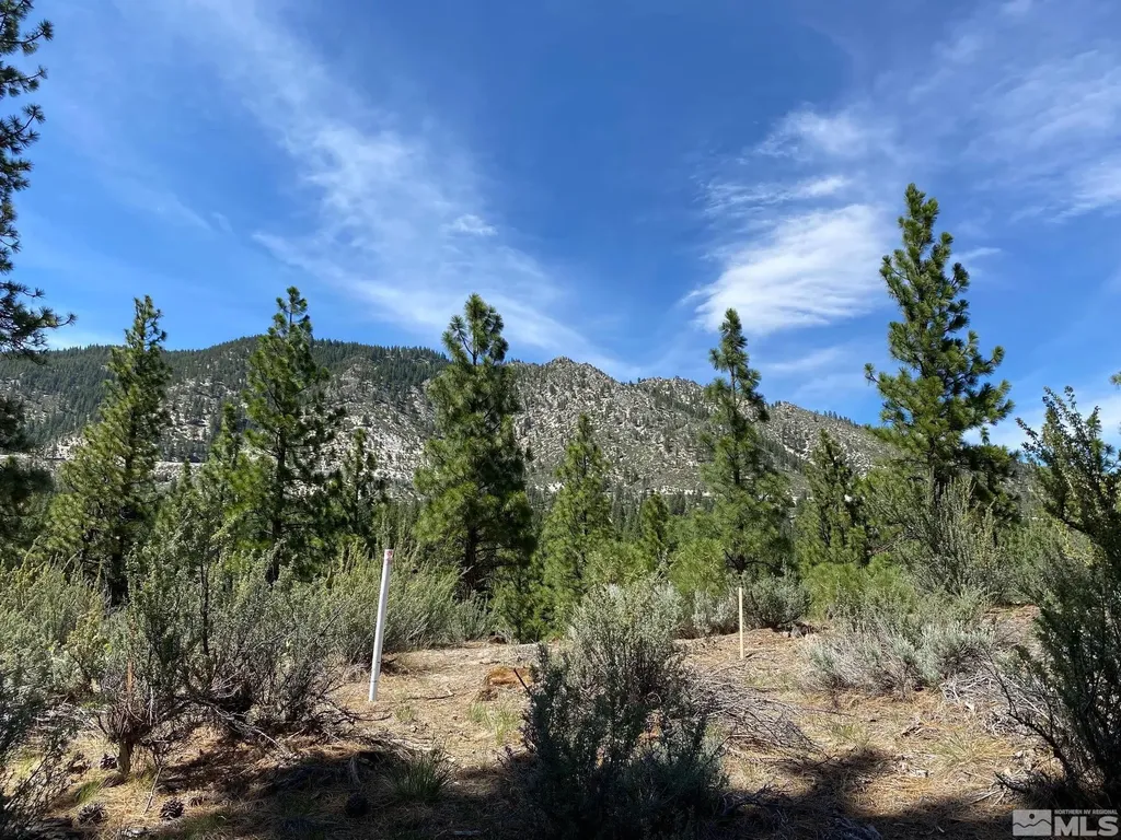 122 Chamberlain Carson City NV 89705