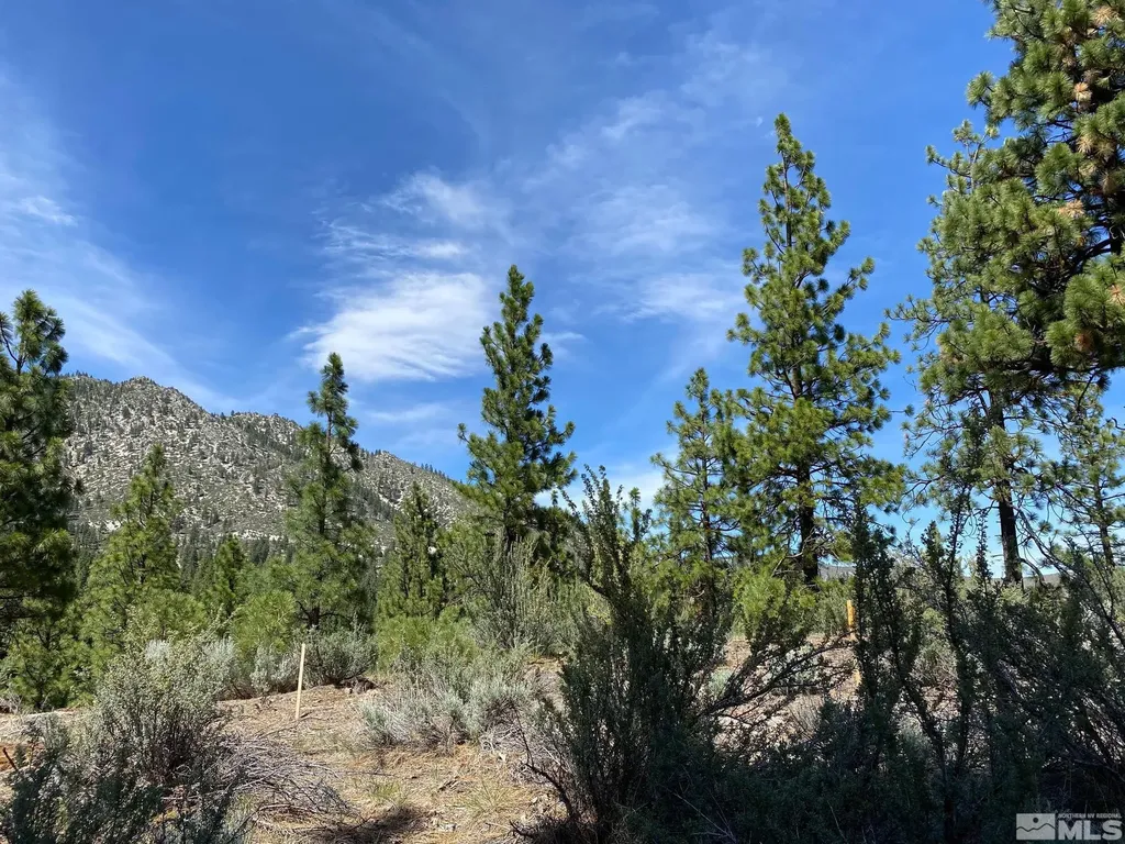 122 Chamberlain Carson City NV 89705