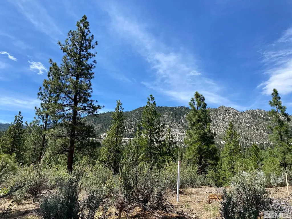 122 Chamberlain Carson City NV 89705