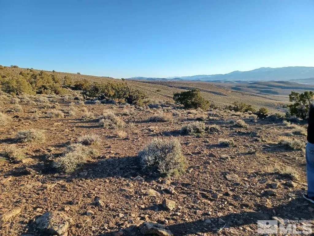 0 Merrilee Sparks NV 89441