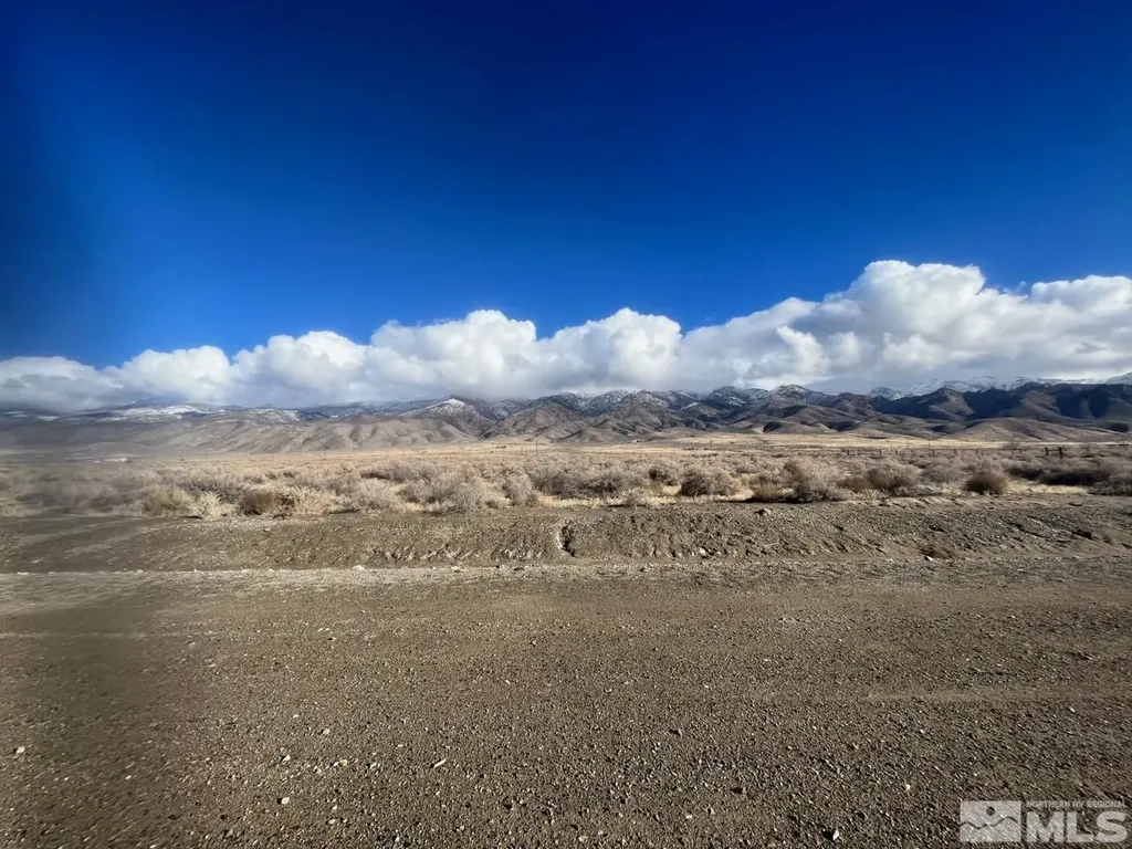 22120 Summerview Lovelock NV 89419