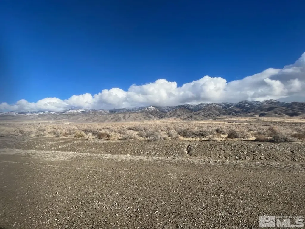 22120 Summerview Lovelock NV 89419