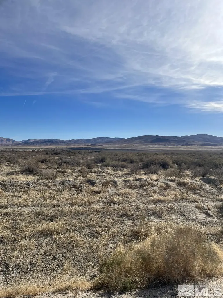 T28 Sec 17 Lovelock NV 89419