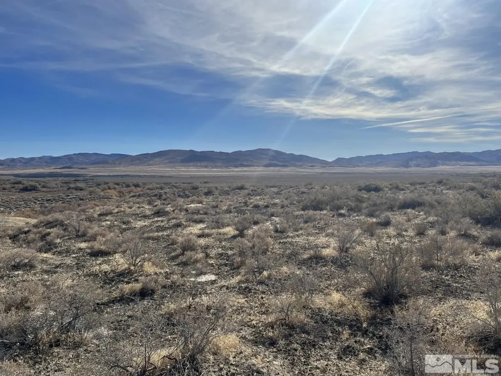 T28 Sec 17 Lovelock NV 89419
