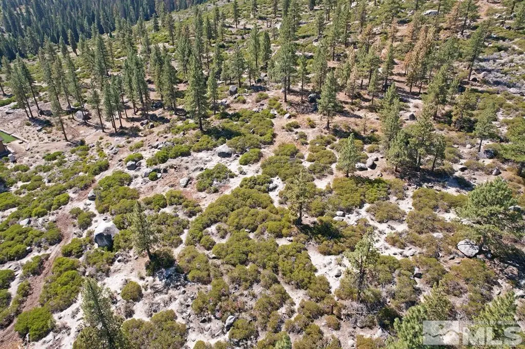 168 Five Creek Gardnerville NV 89460