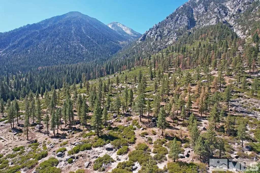 168 Five Creek Gardnerville NV 89460