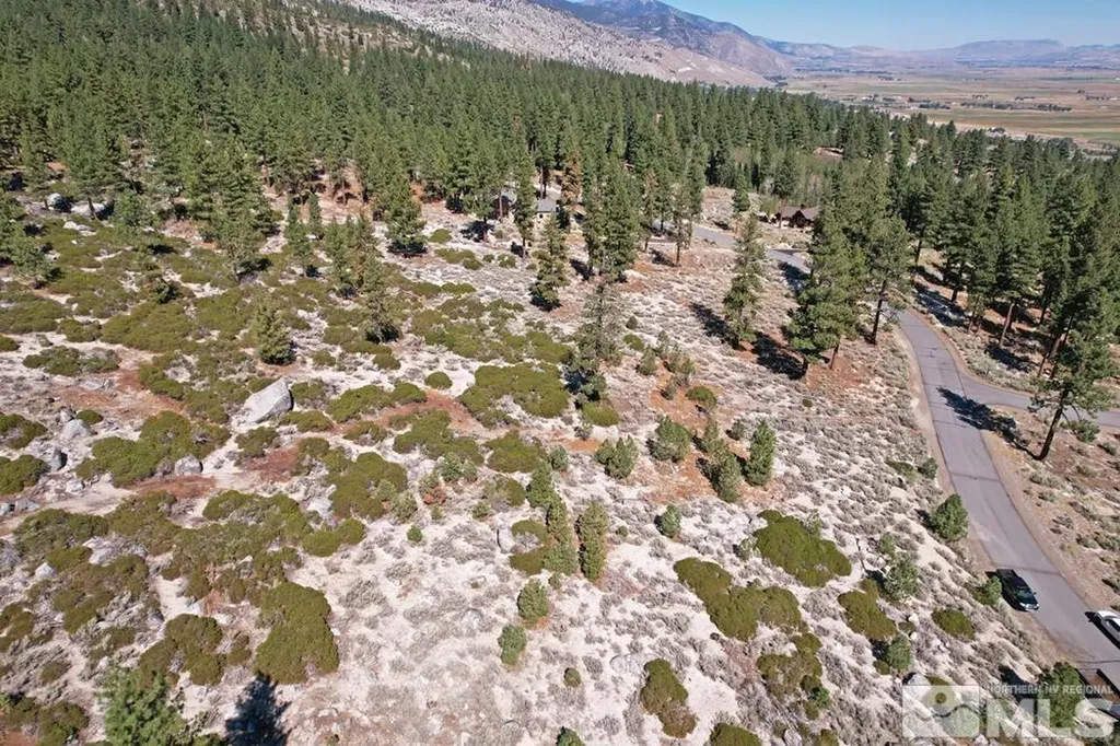 168 Five Creek Gardnerville NV 89460