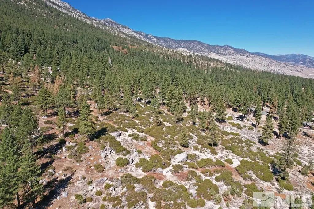 168 Five Creek Gardnerville NV 89460