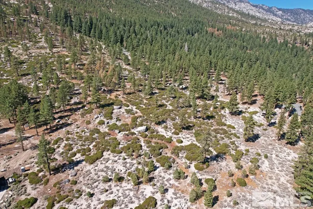 168 Five Creek Gardnerville NV 89460
