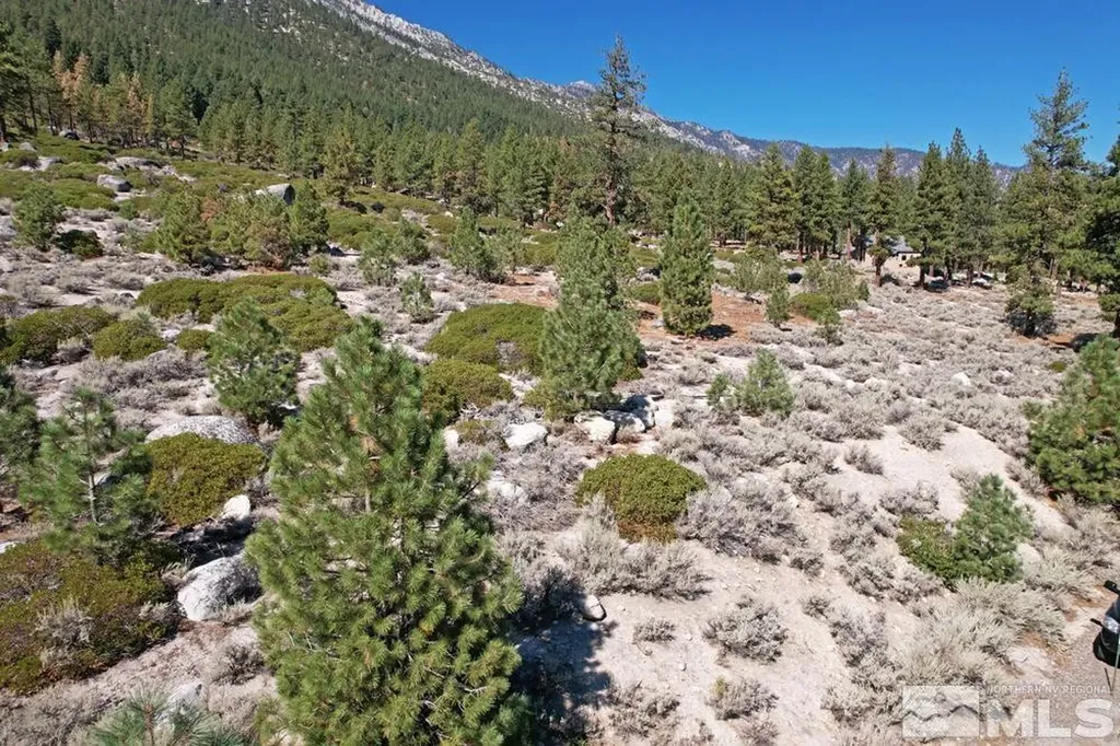 168 Five Creek Gardnerville NV 89460