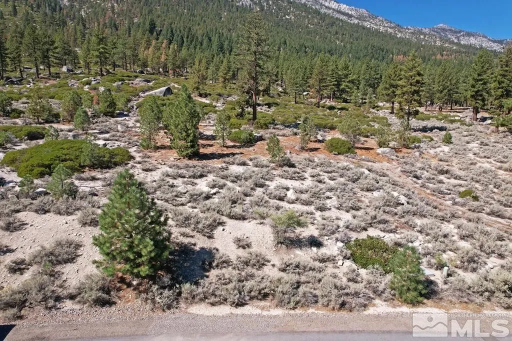 168 Five Creek Gardnerville NV 89460