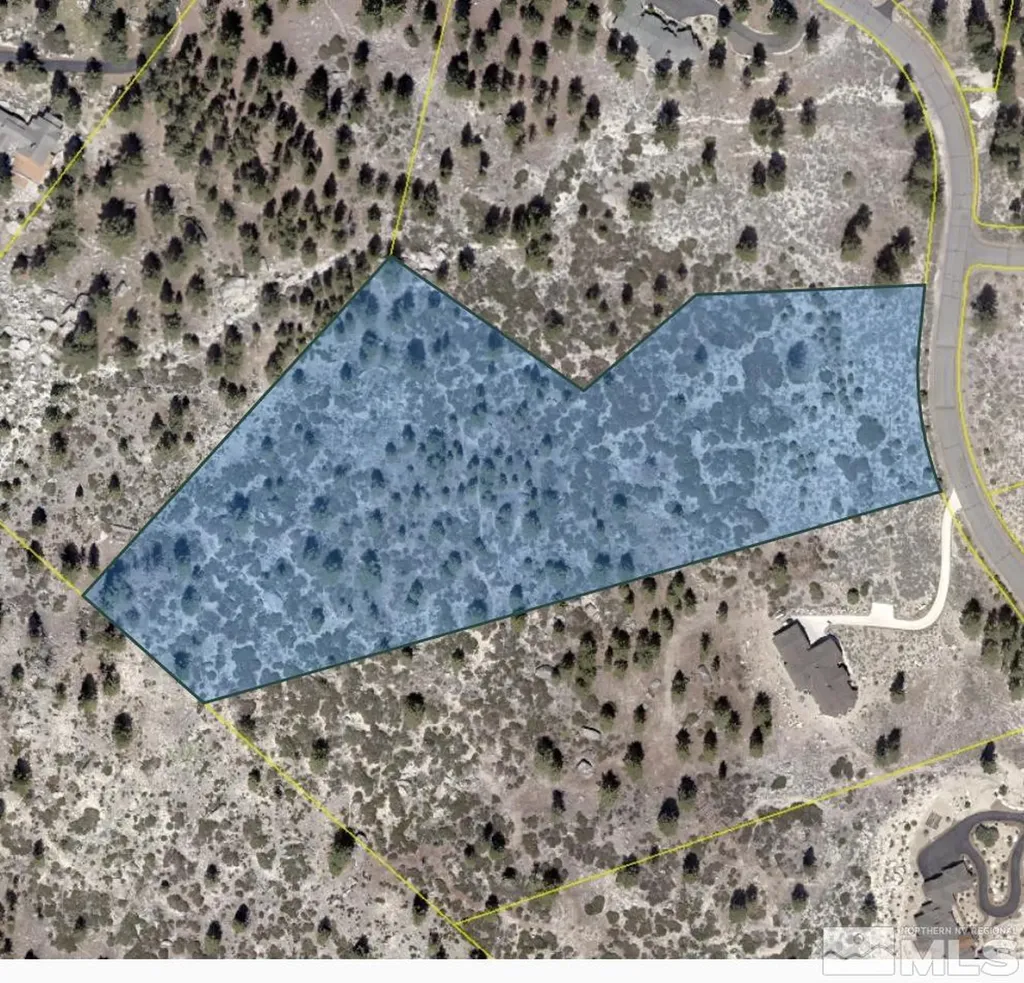 168 Five Creek Gardnerville NV 89460