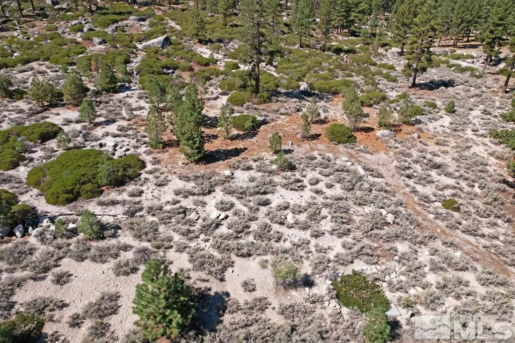 168 Five Creek Gardnerville NV 89460