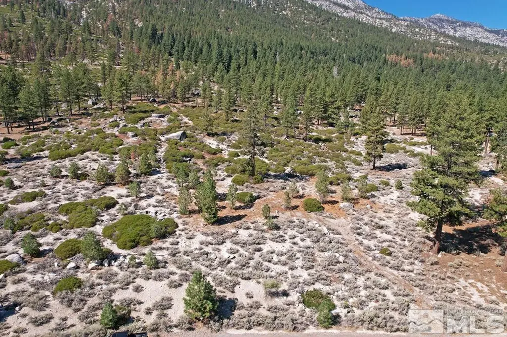 168 Five Creek Gardnerville NV 89460