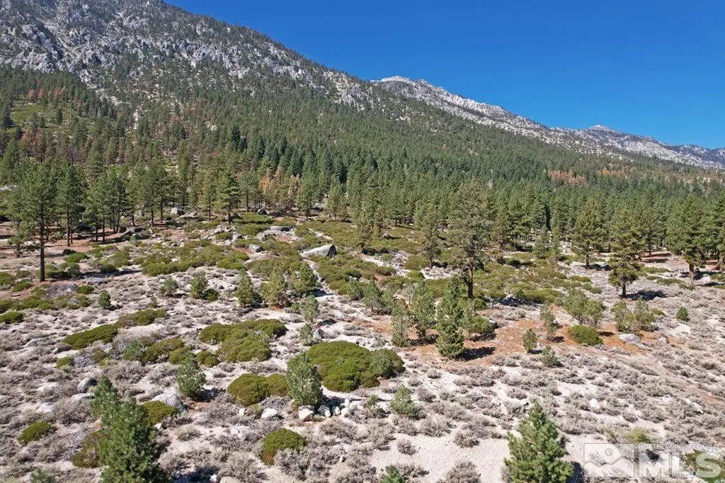 168 Five Creek Gardnerville NV 89460