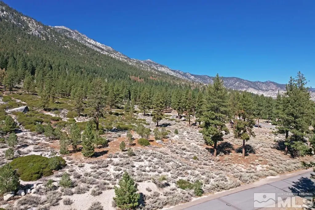 168 Five Creek Gardnerville NV 89460