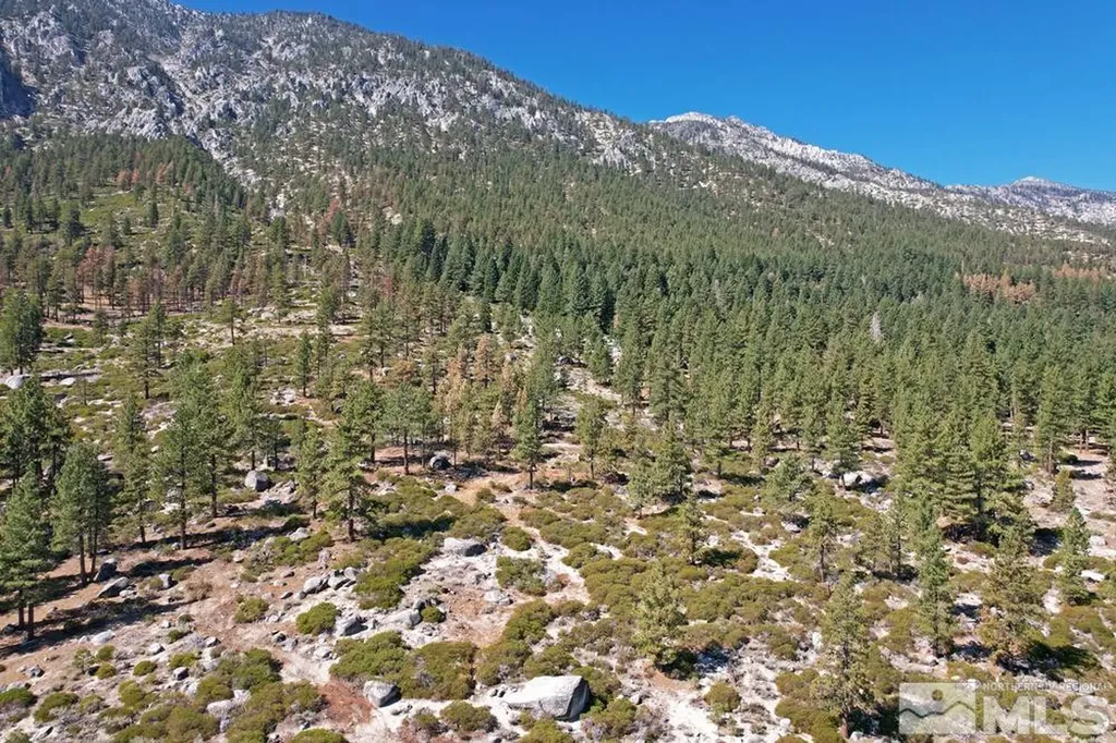 168 Five Creek Gardnerville NV 89460