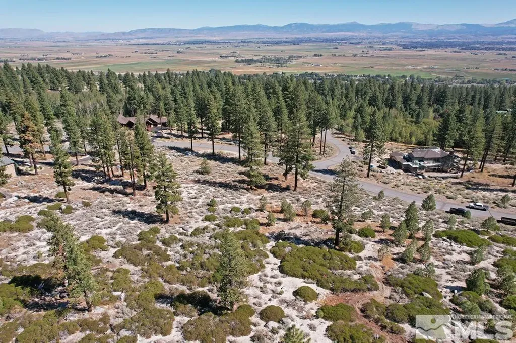 168 Five Creek Gardnerville NV 89460