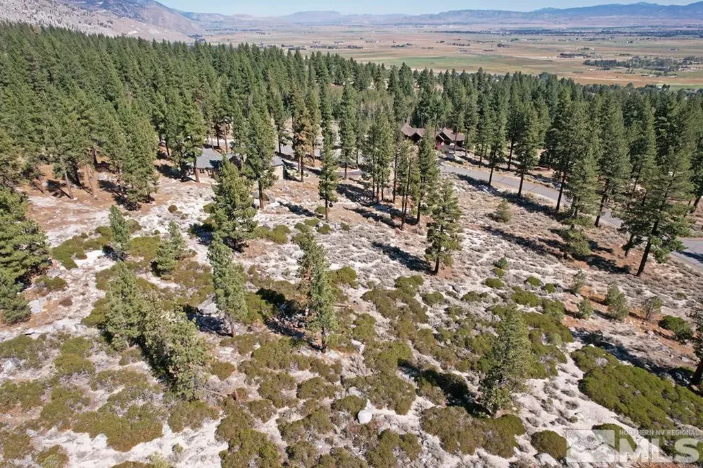 168 Five Creek Gardnerville NV 89460