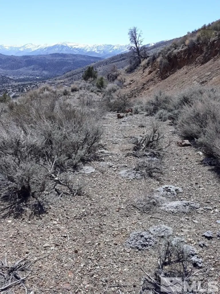 1196 Slate Wellington NV 89444