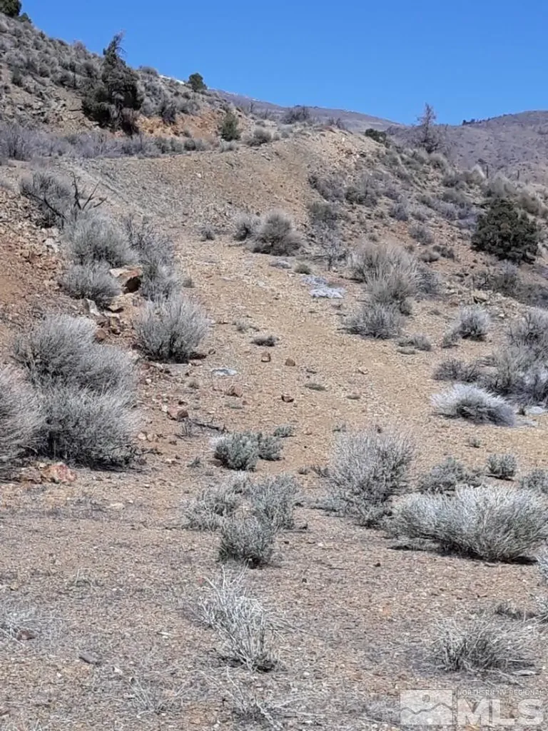 1196 Slate Wellington NV 89444
