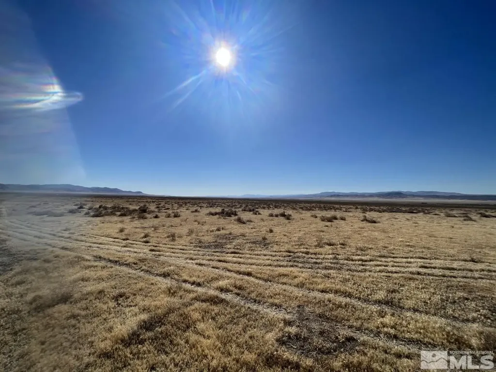 T29 Sec 17 Lovelock NV 89419
