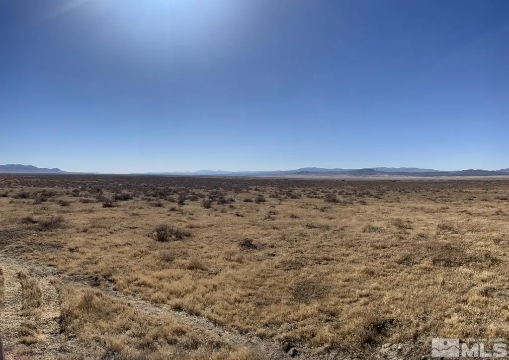 T29 Sec 17 Lovelock NV 89419