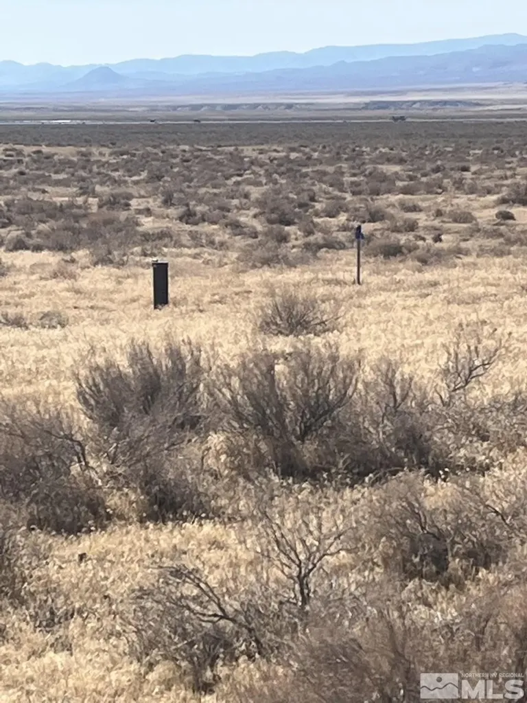 T29 Sec 17 Lovelock NV 89419