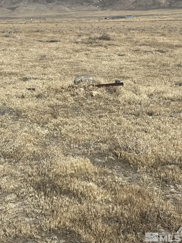 T29 Sec 17 Lovelock NV 89419