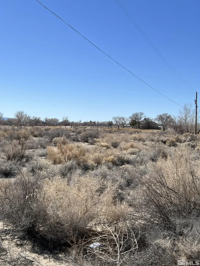 9.3 Acres Off Of Highland Fallon NV 89406