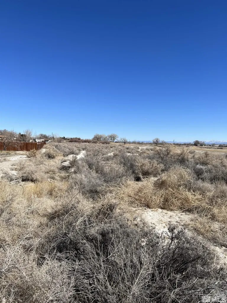 9.3 Acres Off Of Highland Fallon NV 89406