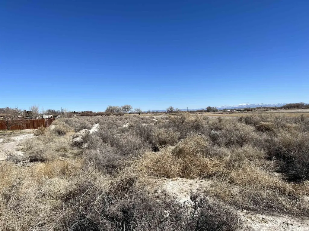9.3 Acres Off Of Highland Fallon NV 89406
