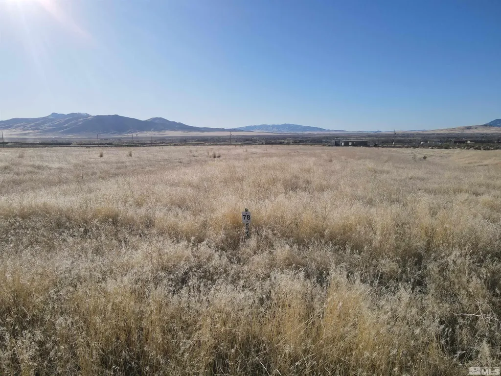 7820 Jean Winnemucca NV 89445