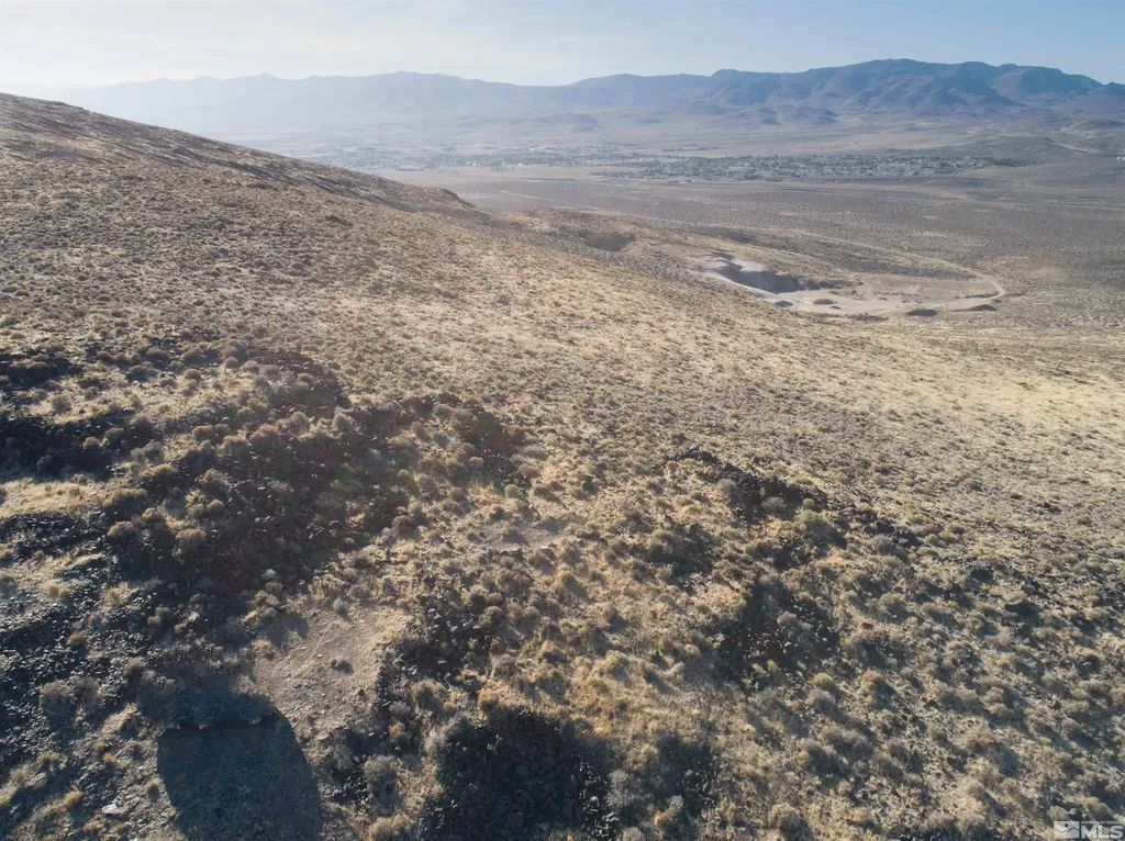 1000 Micro Silver Springs NV 89429