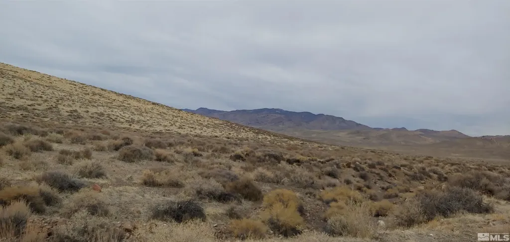 1000 Micro Silver Springs NV 89429