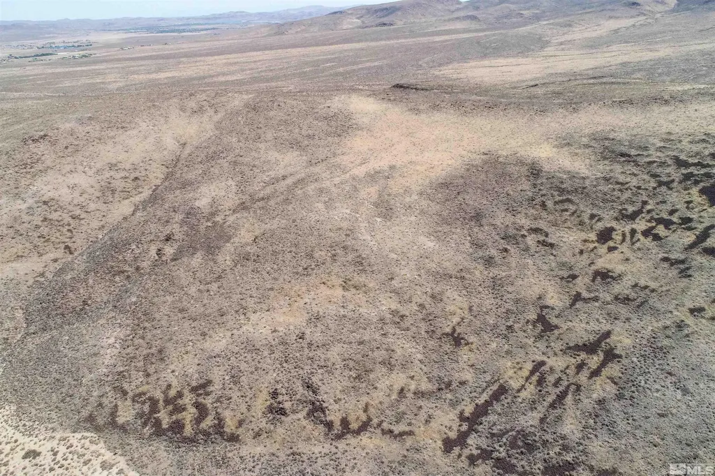 1000 Micro Silver Springs NV 89429
