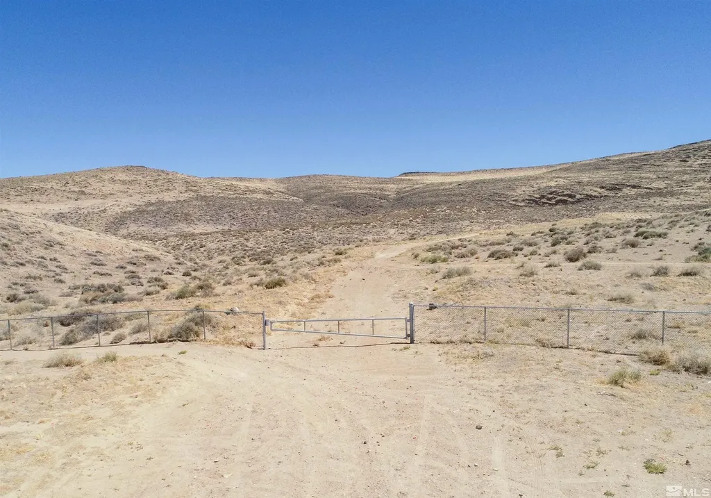 1000 Micro Silver Springs NV 89429