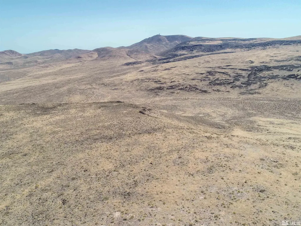 1000 Micro Silver Springs NV 89429