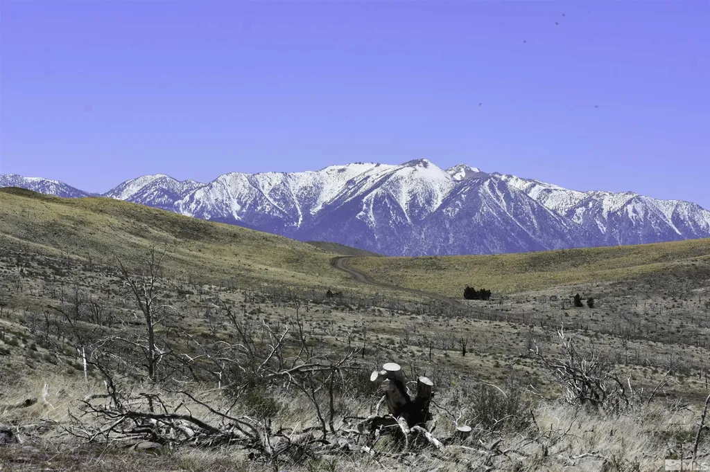 Gardnerville NV, TBD Parcels At Pine Nut Creek Area