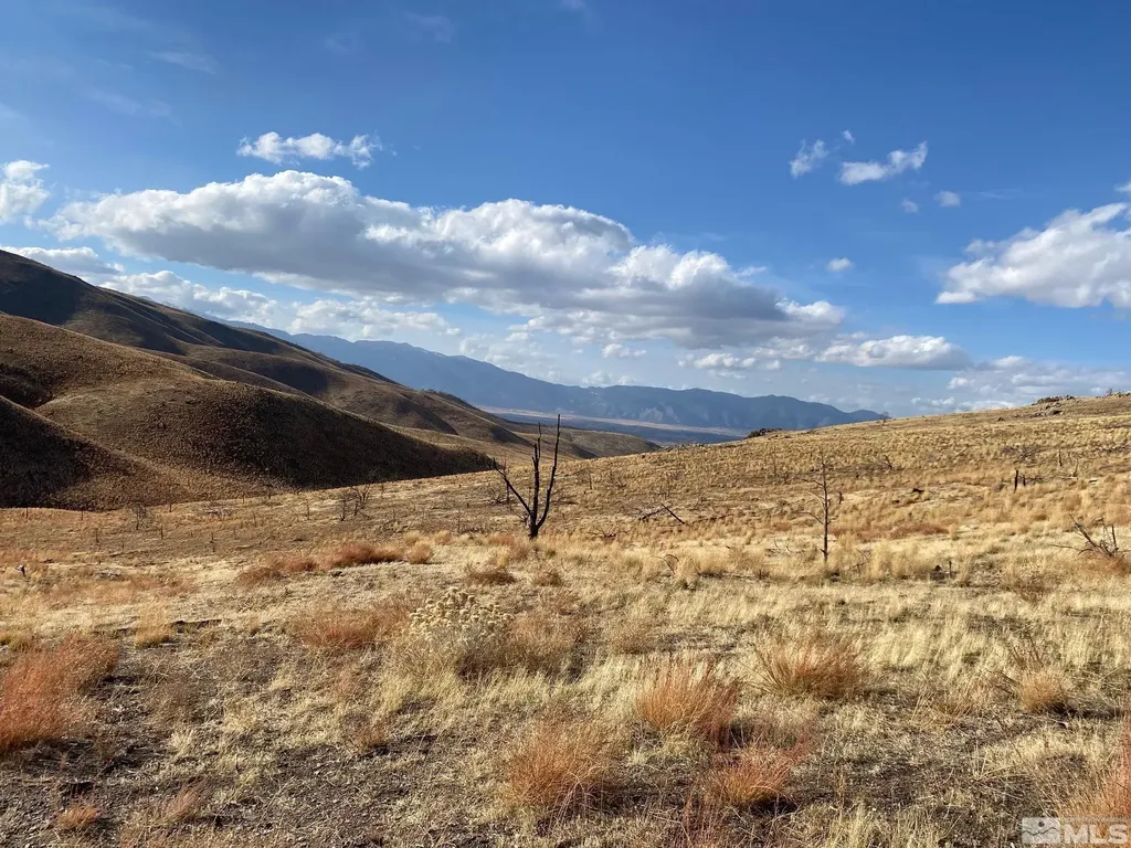 Tbd Parcels At Pine Nut Creek Area Gardnerville NV 89410