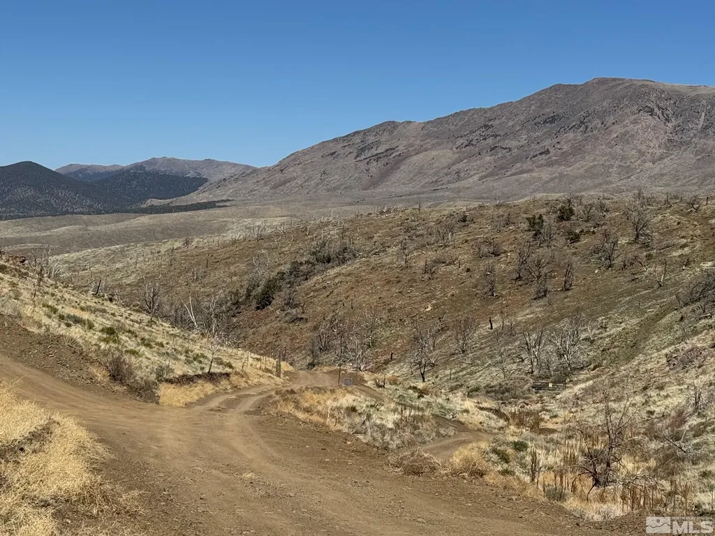 Tbd Parcels At Pine Nut Creek Area Gardnerville NV 89410