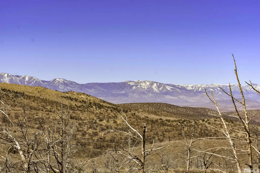 Tbd Parcels At Pine Nut Creek Area Gardnerville NV 89410
