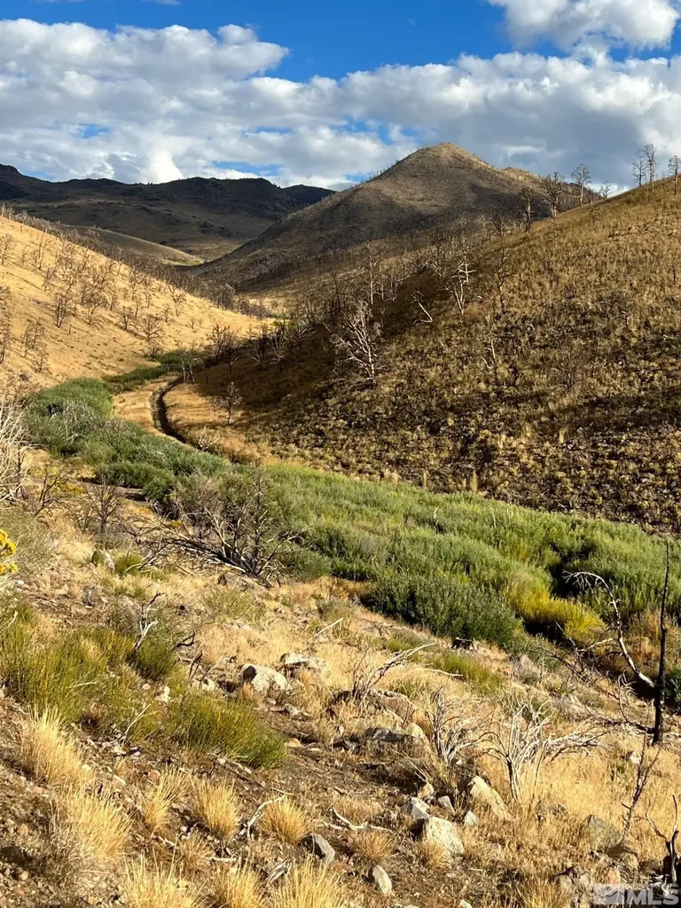 Tbd Parcels At Pine Nut Creek Area Gardnerville NV 89410