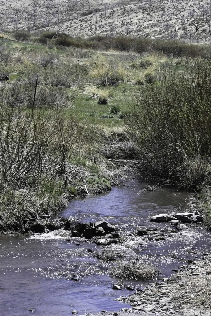 Tbd Parcels At Pine Nut Creek Area Gardnerville NV 89410