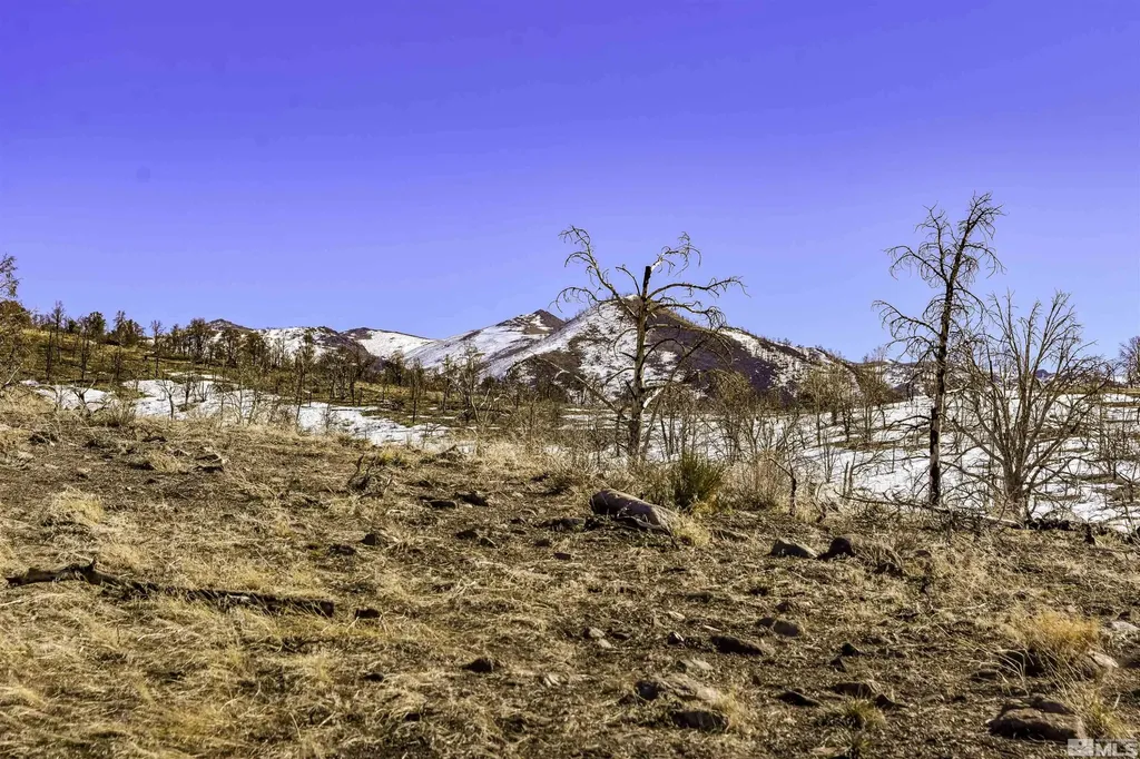 Tbd Parcels At Pine Nut Creek Area Gardnerville NV 89410