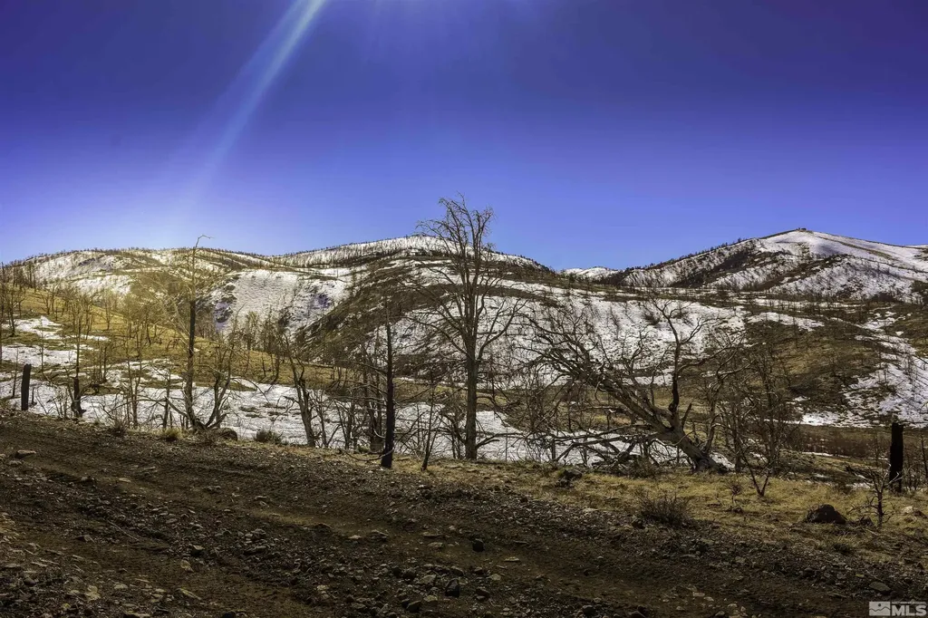 Tbd Parcels At Pine Nut Creek Area Gardnerville NV 89410