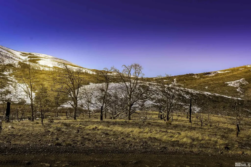Tbd Parcels At Pine Nut Creek Area Gardnerville NV 89410
