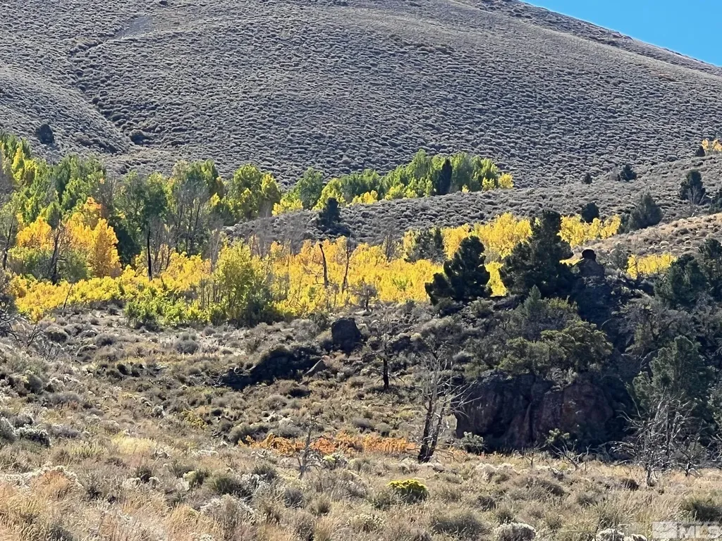 Tbd Parcels At Pine Nut Creek Area Gardnerville NV 89410