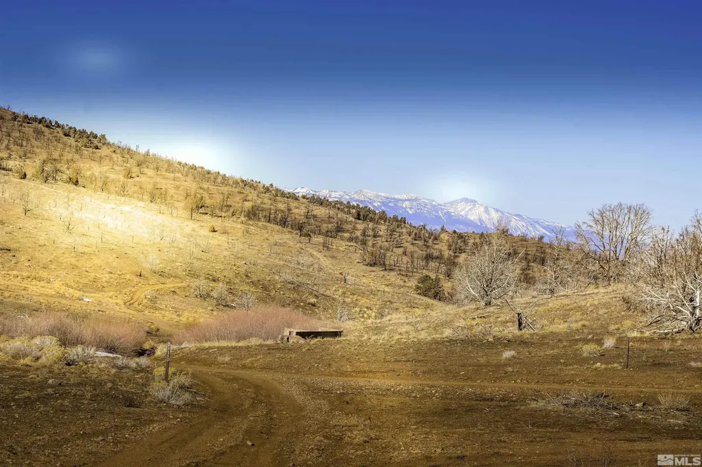 Tbd Parcels At Pine Nut Creek Area Gardnerville NV 89410