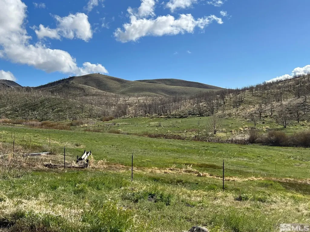Tbd Parcels At Pine Nut Creek Area Gardnerville NV 89410